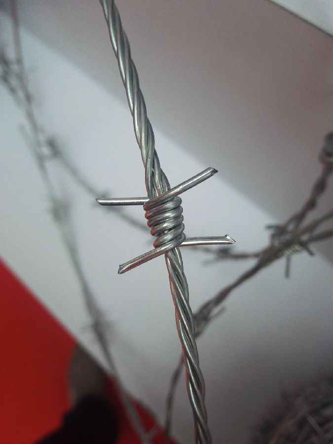 刺绳