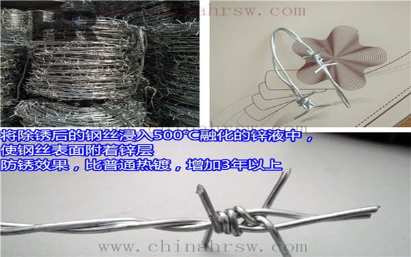 带刺铁丝网