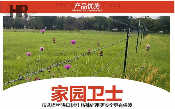 刺绳